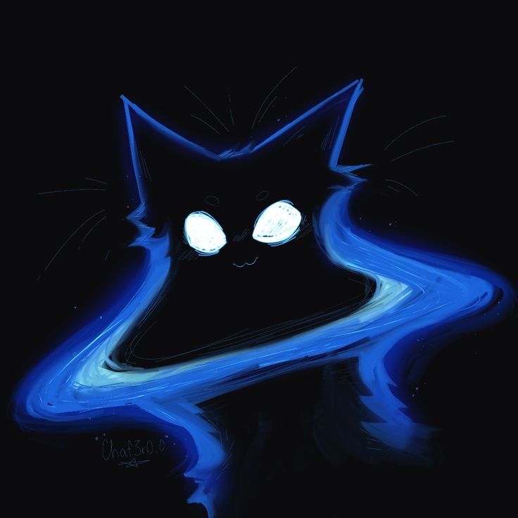 Kova's profile photo