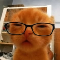 UMikey1997's profile photo