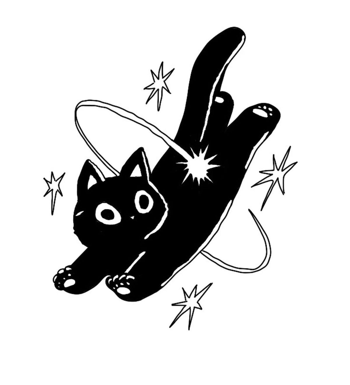 Kova's profile photo