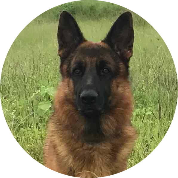 i guess so?'s profile photo